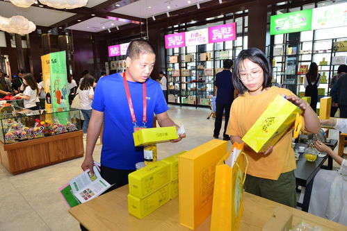 巨鹿新章 禮儀服務助力第二屆旅發大會，繪就全域旅游新畫卷