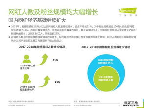 2018年中國(guó)網(wǎng)紅經(jīng)濟(jì)發(fā)展研究報(bào)告 網(wǎng)絡(luò)技術(shù)開(kāi)發(fā)與信息咨詢的驅(qū)動(dòng)力量